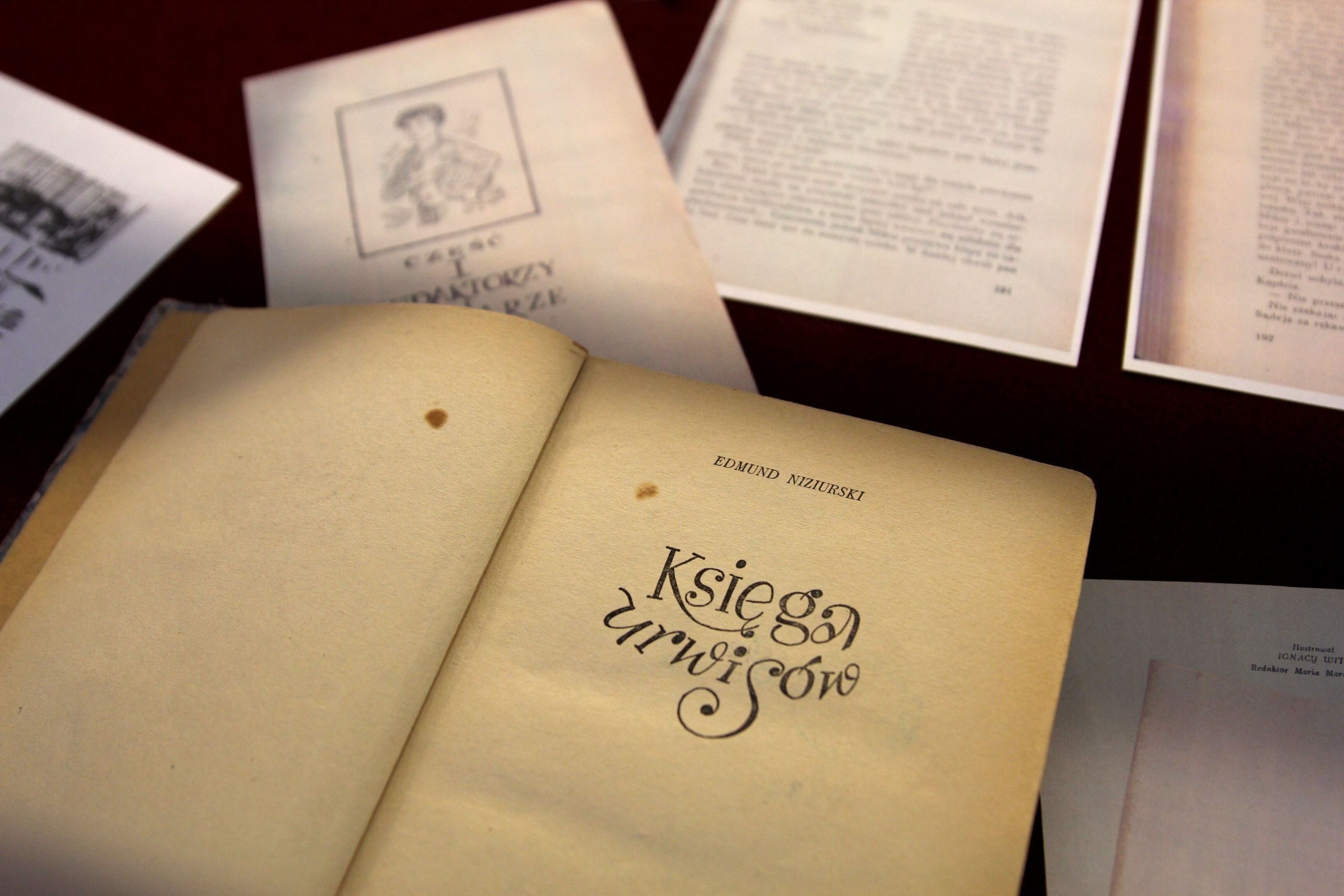 galeria-2025-06-03-galeria-niziurski-007-scaled